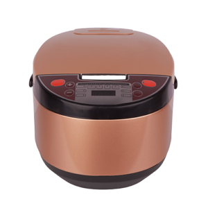 Multi Cooker