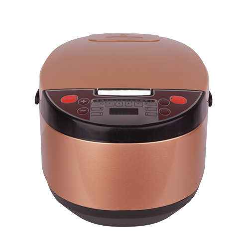 Multi Cooker